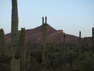 photo thumbnail #2