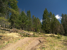photo thumbnail #2