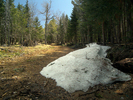 photo thumbnail #9
