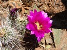 photo thumbnail #7