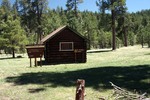 photo thumbnail #6