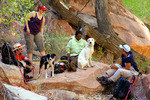 photo thumbnail #8