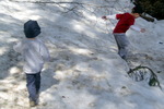 photo thumbnail #5