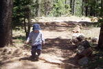 photo thumbnail #12