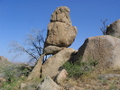 photo thumbnail #10
