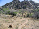 photo thumbnail #13