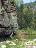 photo thumbnail #6