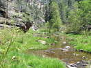 photo thumbnail #7