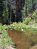 photo thumbnail #8