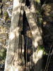 photo thumbnail #10