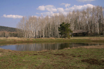 photo thumbnail #6