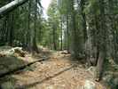 photo thumbnail #7
