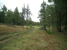 photo thumbnail #8