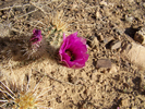 photo thumbnail #13