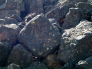 photo thumbnail #10