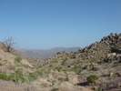 photo thumbnail #1