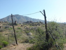 photo thumbnail #8