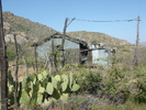 photo thumbnail #11
