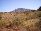 2008-05-11 :2: Ballantine Cabin & Corral :: wallyfrack