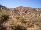 photo thumbnail #3