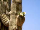 photo thumbnail #8