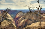 photo thumbnail #2
