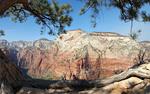 photo thumbnail #5