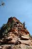 photo thumbnail #12