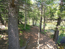 photo thumbnail #5