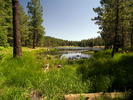 photo thumbnail #7