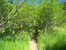 photo thumbnail #8