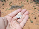 photo thumbnail #1