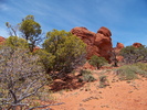 photo thumbnail #2
