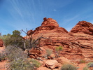 photo thumbnail #11