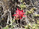 photo thumbnail #11