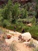 photo thumbnail #7