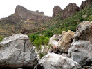 photo thumbnail #3