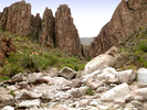 photo thumbnail #6