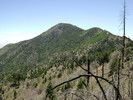 2008-05-12 :2: Miller Peak via Miller Canyon :: sogoguy