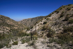 photo thumbnail #10