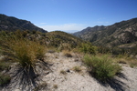 photo thumbnail #12