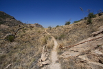 photo thumbnail #15