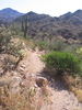 photo thumbnail #6