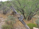 photo thumbnail #7