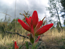 photo thumbnail #13