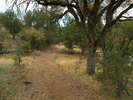 photo thumbnail #15