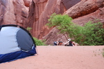 photo thumbnail #12