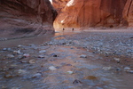 photo thumbnail #14