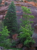 photo thumbnail #7