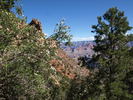 photo thumbnail #10